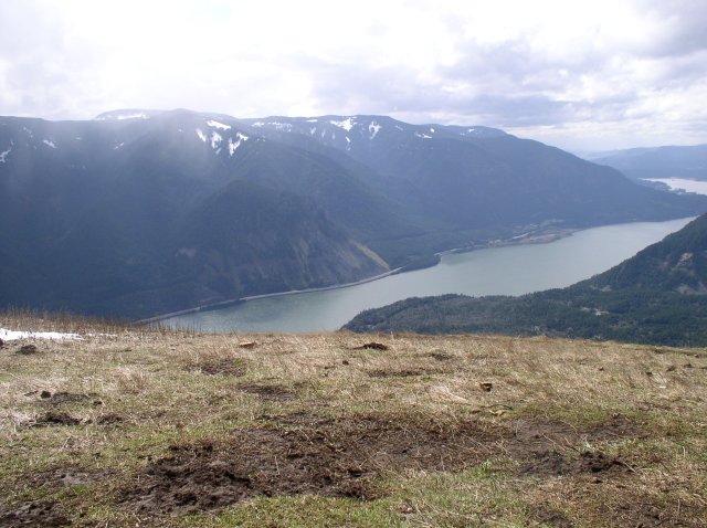 3.24.06 Dog Mountain 041 